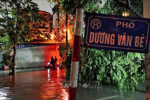 Hà Nội: Ngập sâu, cây đổ la liệt trên phố Dương Văn Bé