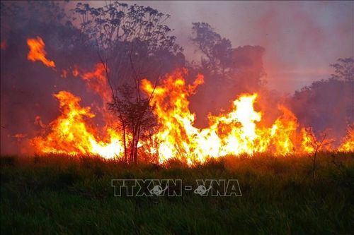 Bolivia ban bố tình trạng khẩn cấp do cháy rừng