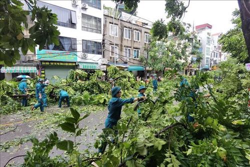 Khẩn trương giúp đỡ người dân ảnh hưởng bão số 3 vượt qua khó khăn, khôi phục sản xuất