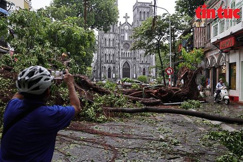 Hà Nội dọn dẹp cây xanh đổ ngổn ngang sau bão Yagi