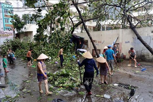 Người dân Quảng Ninh khẩn trương khắc phục hậu quả cơn bão số 3