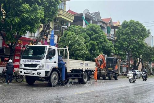 Ninh Bình: Khẩn trương hỗ trợ người dân khắc phục thiệt hại sau bão số 3