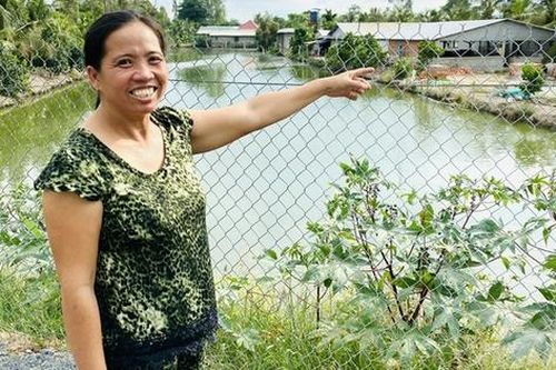 Chị nông dân nuôi con 'hiền lành' ham ăn, lãi 1,5 tỷ đồng/năm rất nhẹ nhàng