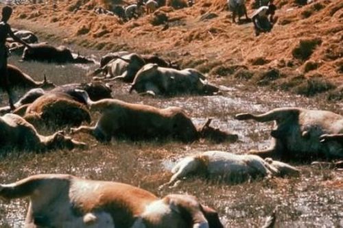 Siêu bão khiến nửa triệu người chết, gây bất ổn dẫn đến sự ra đời một quốc gia