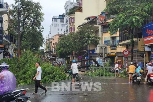 Người dân Hà Nội chủ động khắc phục hậu quả sau bão