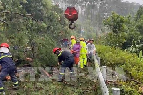 Tập trung khắc phục hậu quả, hỗ trợ người dân bị thiệt hại do bão số 3