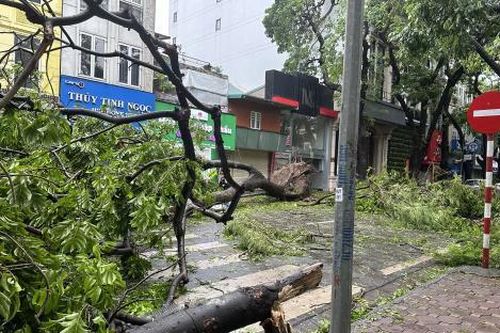 Con đường 'đẹp nhất Thủ đô' cây đổ la liệt, tan hoang sau siêu bão Yagi