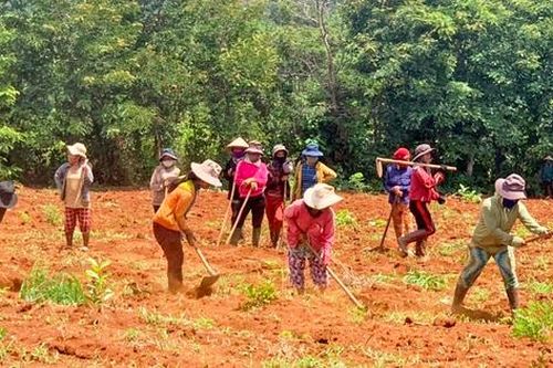 Mang đến sức sống mới cho phụ nữ dân tộc thiểu số ở Mang Yang