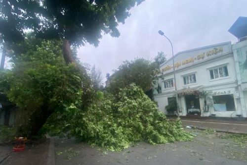Hà Nội sau bão, ghi nhận hình ảnh sáng nay 8/9 tại khu Kim Liên, Đống Đa
