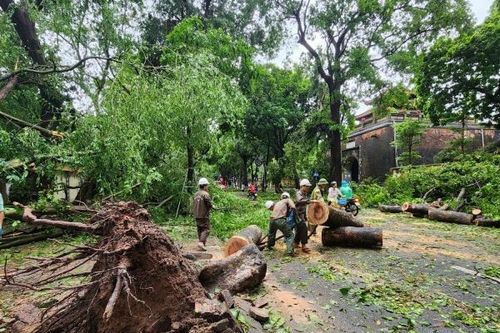 Những con phố đẹp nhất Hà Nội tan hoang sau bão số 3