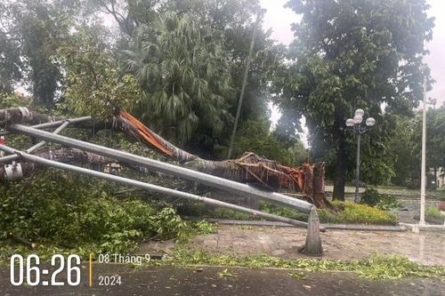 Trung tâm Hà Nội sau bão số 3: Quận Hoàn Kiếm cây đổ la liệt