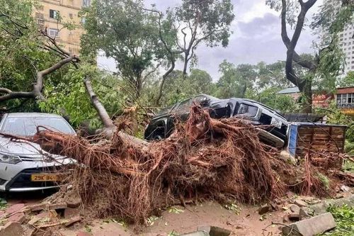 Khuyến cáo 8 việc cần làm ngay sau bão Yagi