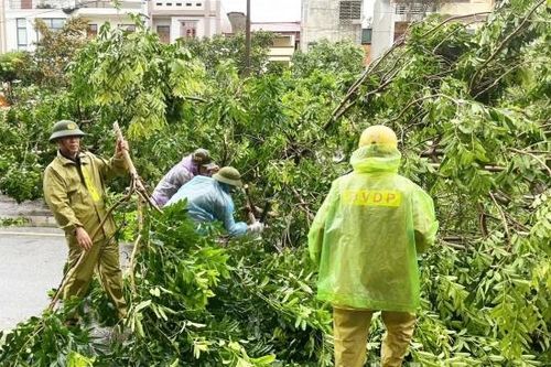 Bắc Ninh: Hàng trăm nhà ở bị tốc mái; địa phương nhanh chóng khắc phục hậu quả sau bão