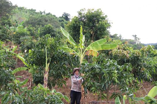 Nỗ lực hoàn thành xây dựng nông thôn mới