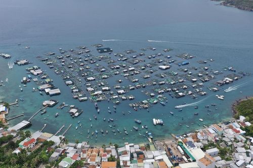 Chung tay phục hồi vịnh Nha Trang - Kỳ 3: Xanh hóa những làng chài giữa biển