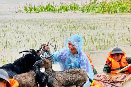 Những hình ảnh đẹp của lực lượng chức năng giúp người dân vùng lũ