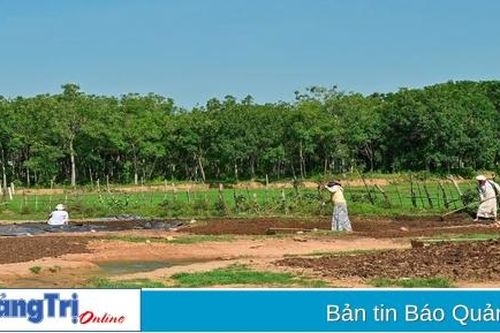 Đakrông: Không còn quỹ đất để hỗ trợ đất ở, đất sản xuất cho người dân
