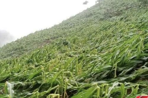 Sông Mã: Thiệt hại 2,8 tỷ đồng do ảnh hưởng cơn bão số 3