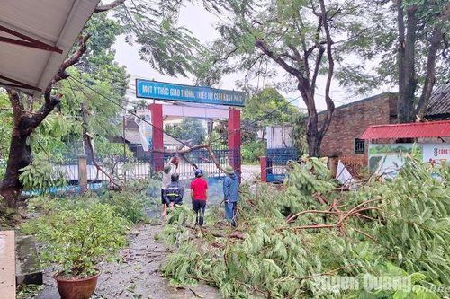 Các trường học ở vùng có nguy cơ sạt lở, lũ quét căn cứ tình hình thực tế cho học sinh nghỉ học để đảm bảo an toàn