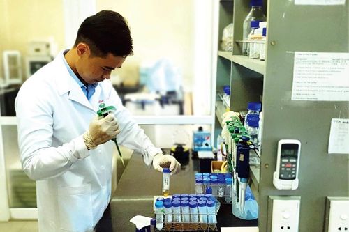 Trở về để phụng sự quê hương