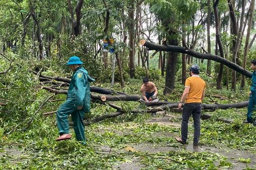 Hoàng Mai (Hà Nội): Người dân xuống đường dọn dẹp 'tàn tích' sau siêu bão Yagi