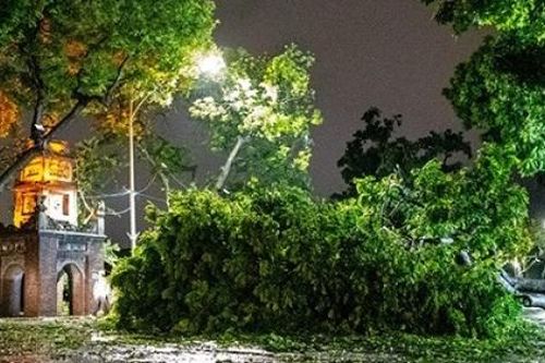 Hà Nội, Hải Phòng, Quảng Ninh tan hoang sau bão