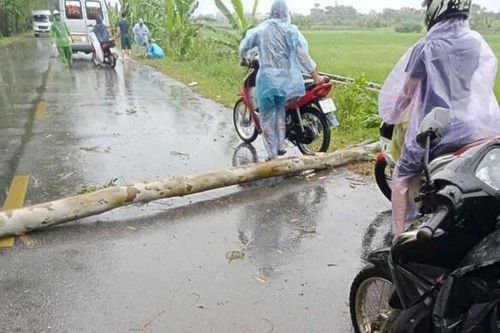Hải Dương: Bão số 3 khiến 500.000 khách hàng bị mất điện, 1 người tử vong do cây đổ trúng