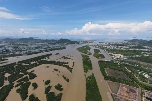 Kiên Giang: Thêm một người dân bị phạt 500 triệu đồng vì bao chiếm đất đầm Đông Hồ
