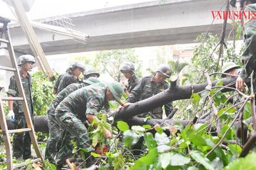 Hà Nội tiếp tục ra công điện khắc phục hậu quả sau bão, lên phương án xử lý hơn 24 nghìn cây xanh bị gãy đổ