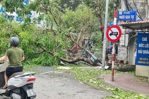 Hải Phòng tan hoang sau khi bão số 3 đổ bộ