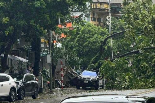 Hà Nội thiệt hại nặng nề sau bão số 3