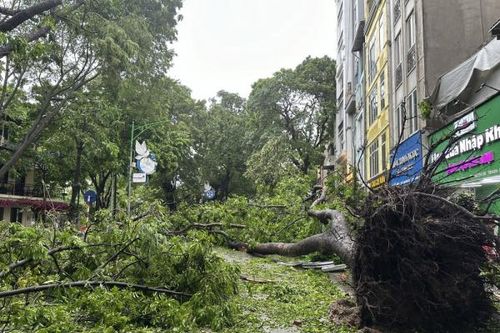 Các tỉnh bão số 3 đi qua thiệt hại nặng nề