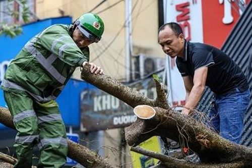 Công an Hà Nội dọn dẹp cây đổ sau bão số 3
