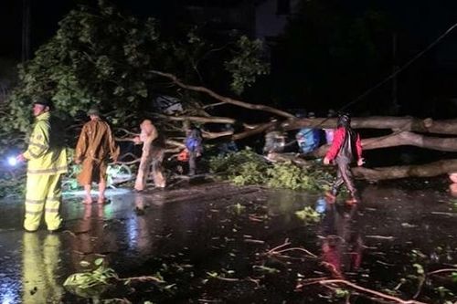 Bắc Giang: 6 người bị thương, thiệt hại nhiều nhà cửa và hoa màu do bão số 3