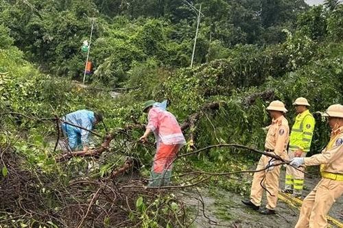Nhanh chóng thông suốt đường lên khu du lịch Tam Đảo