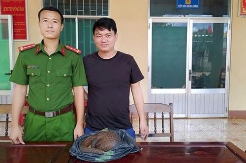 Bắt được hai con tê tê quý hiếm, người dân bàn giao cho cơ quan Công an
