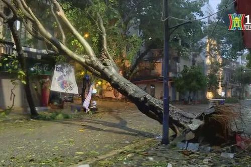 Hà Nội ngổn ngang sau siêu bão