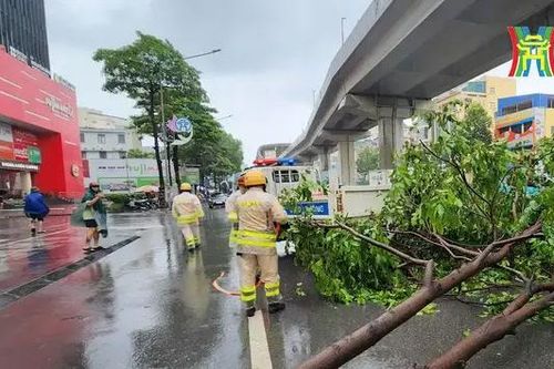 Báo cáo nhanh thiệt hại ban đầu do bão số 3