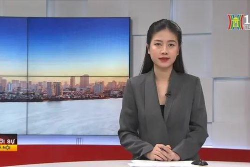 Chương trình Thời sự 11h30 | 08/09/2024
