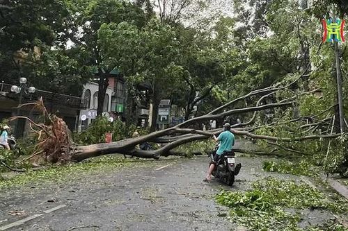 Phố 'nàng thơ' đẹp nhất Thủ đô ra sao sau siêu bão?