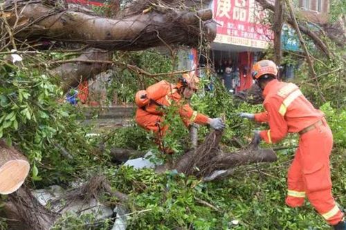 Trung Quốc huy động nguồn lực khắc phục hậu quả sau bão
