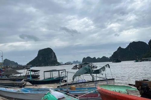 Sau bão, nhiều người dân Quảng Ninh thiệt hại hàng tỷ đồng