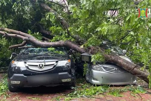 Nhiều ô tô, xe máy bị hư hỏng nặng sau bão Yagi