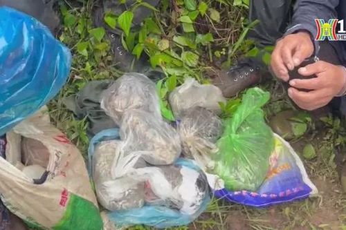 Bắt đối tượng vận chuyển lượng lớn thuốc phiện vào Việt Nam