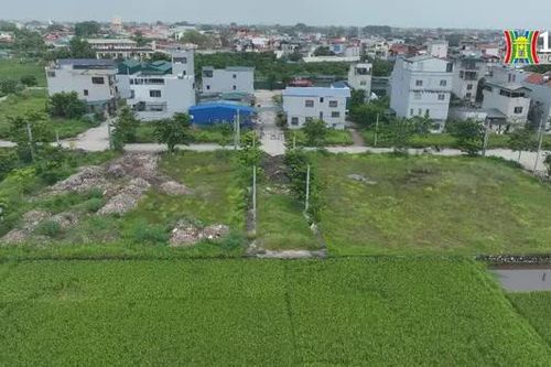 Đất đấu giá để ở nhưng lại bị đầu cơ bỏ hoang