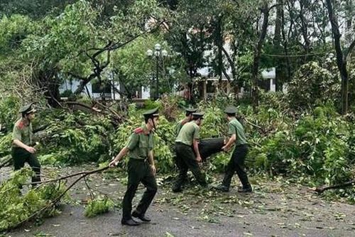 Hàng trăm sinh viên Học viện An ninh nhân dân tham gia khắc phục hậu quả bão số 3