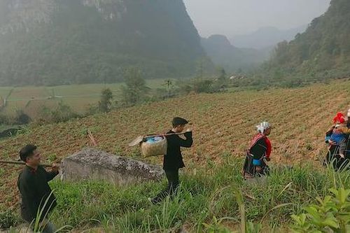 Phim tài liệu Việt Nam: Học hỏi để tiến xa hơn