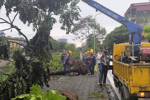 Hối hả giải tỏa cây xanh gãy đổ trên nhiều tuyến phố