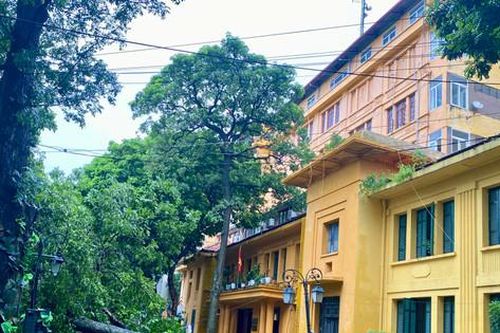 Hà Nội: Giải tỏa cây gãy đổ trước ngày 12-9
