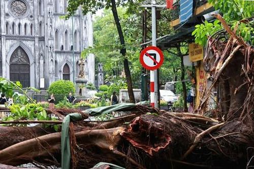 'Thần tốc' xử lý hàng nghìn cây đổ, đưa giao thông Hà Nội trở lại bình thường